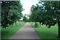 Path in Eaton Park