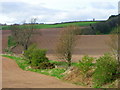 Fields near Fowlis Wester