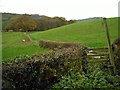 Stile and footpath