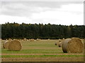 Big bales near Colbeggie