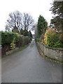 Carr Hall Road - viewed from Carr Row