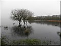 H9894 : Still waters, Lough Beg by Kenneth  Allen