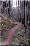 NN1172 : Track in the woods below Cow Hill by Jim Barton