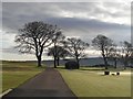 NH7387 : Bare trees on the Carnegie Golf Course by sylvia duckworth