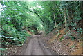 SU7823 : Sussex Border Path by N Chadwick