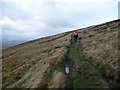 SJ0734 : Path in the Berwyns below Cadair Bronwen by Jeremy Bolwell