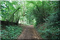 SU7824 : Sussex Border Path by N Chadwick