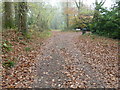 Bridleway and drive to Wanborough House