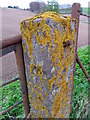 NO2532 : Lichen on the post, North Pitkindle by Maigheach-gheal