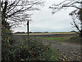 Footpath beside the woods