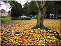 Autumn at St Oswald