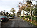 The tree-lined approach to Burford from the east