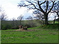 Clydesdale horse, Kindallachan