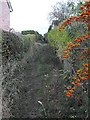 Footpath to Pine Tree Way