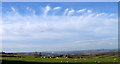 Mares tails over Hedley Park farm