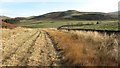 Path beneath Humblemoor Hill