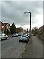 Lamppost in Scotter Road