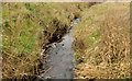 Stream near Donaghadee