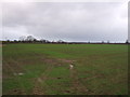 Farmland  off Thrintoft Lane