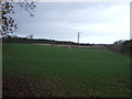 Farmland near Prospect House