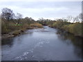 River Swale, Great Langton