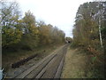 Railway line at Holmwood