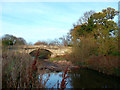 Bridge to Cranford Park