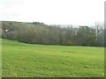 Sea view below Castle Close, Lympne