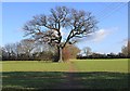 Footpath to Harbury