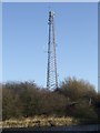 Telecommunications mast beside the canal