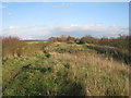 The path leading to the Humberhead Peatlands National Nature Reserve