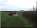 Bridleway towards Grange Farm