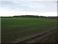 Farmland near Whitwell