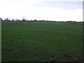 Farmland, Brockholme Farm