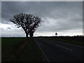 Moor Lane towards Yafforth