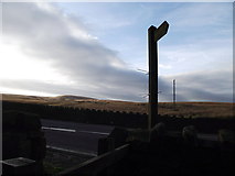 SD6520 : Brown Hill from the A675 by philandju