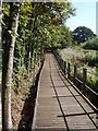 Boardwalk Cyclepath