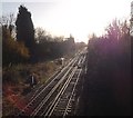 Railway, south of Hurst Green