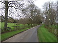 Mounstrall Lane towards Danby Wiske