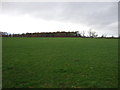 Farmland near Danby Hall