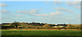 2011 : Pasture east of the A3102