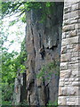 The Torrs from under Union Bridge New Mills