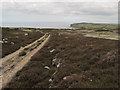 Peat moorland track above Melvich