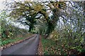 Country Lane near Croxton