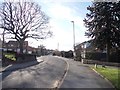 Wood Hill Road - viewed from Green Lane