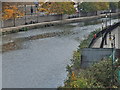 River Medway, Maidstone