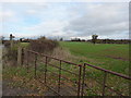 Footpath through a field to Frodesley