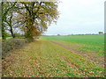 SP4129 : Another field boundary near Great Tew by Jonathan Billinger