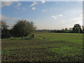 Trig point in field south of A5