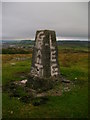 NS3272 : Trig point above Devol by Mark Nightingale